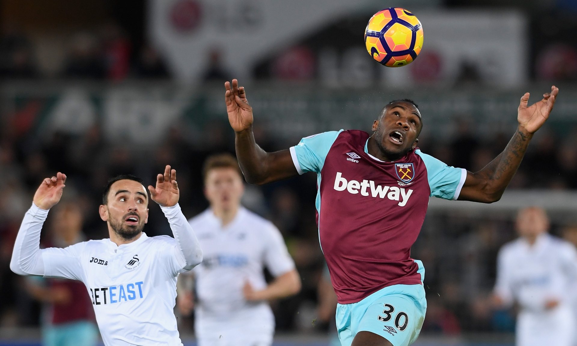 却已展示出 却已展示出