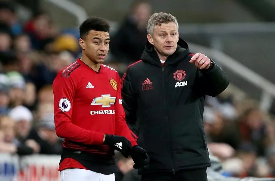 的指导下迅 的指导下迅